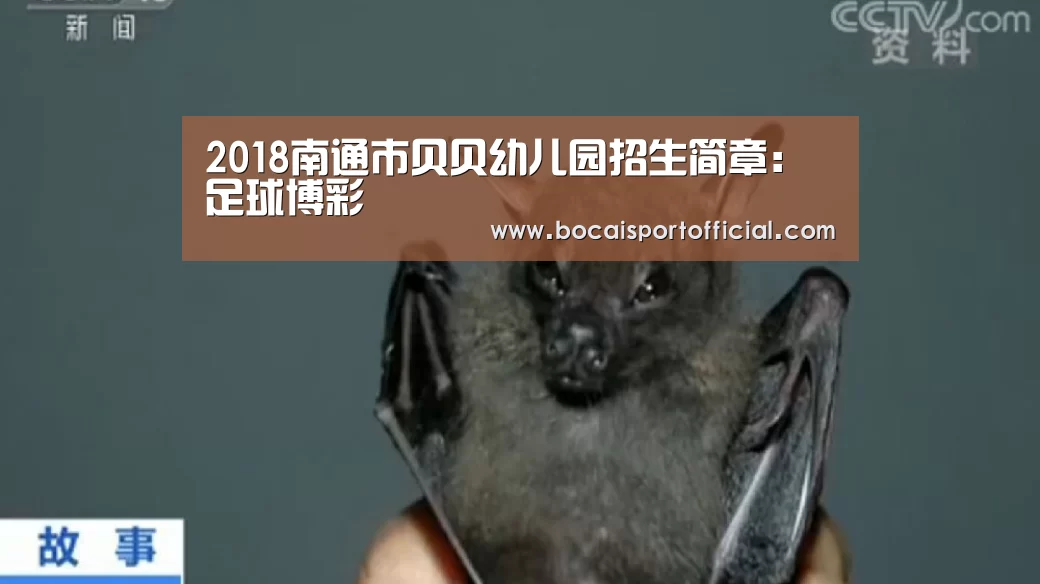 2018南通市贝贝幼儿园招生简章:足球博彩(图2) 足球下注网站