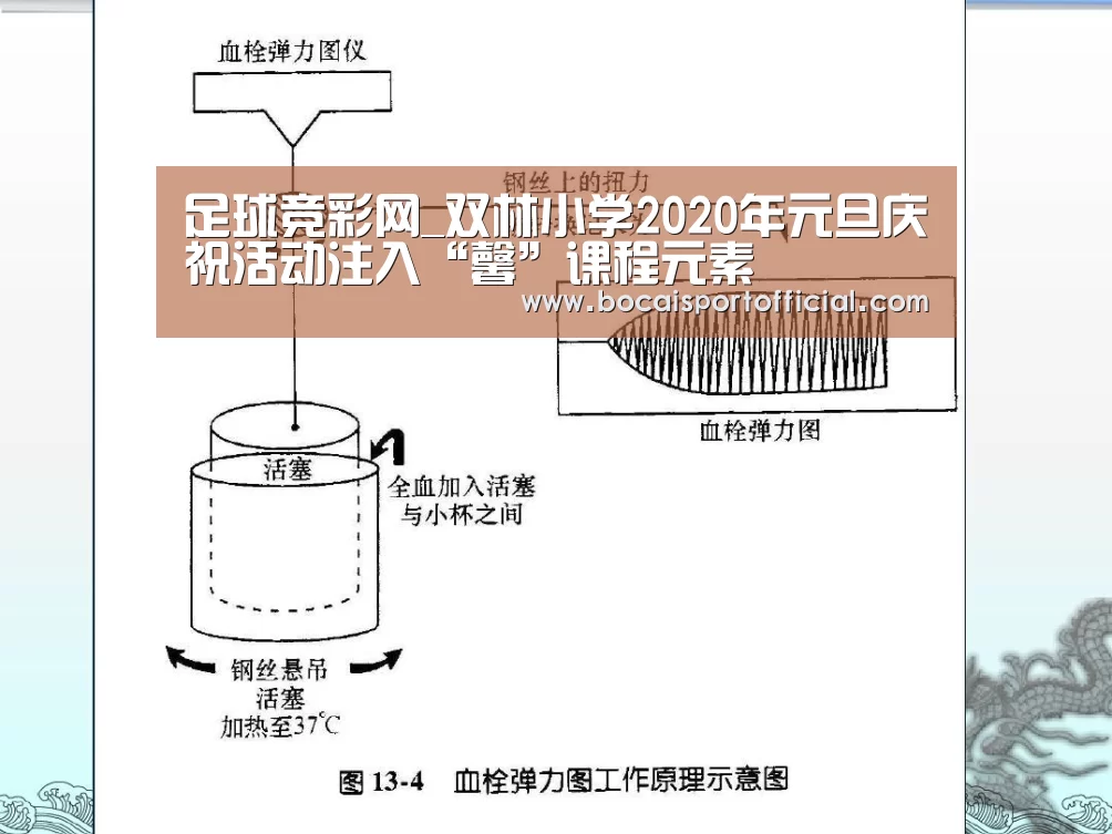 足球竞彩网_双林小学2020年元旦庆祝活动注入“馨”课程元素(图1) 足球竞猜平台