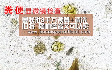 曼联批8千万预算+清洗旧将 穆帅冬窗又可以买买买了-足球博彩(图1) 足球竞猜平台