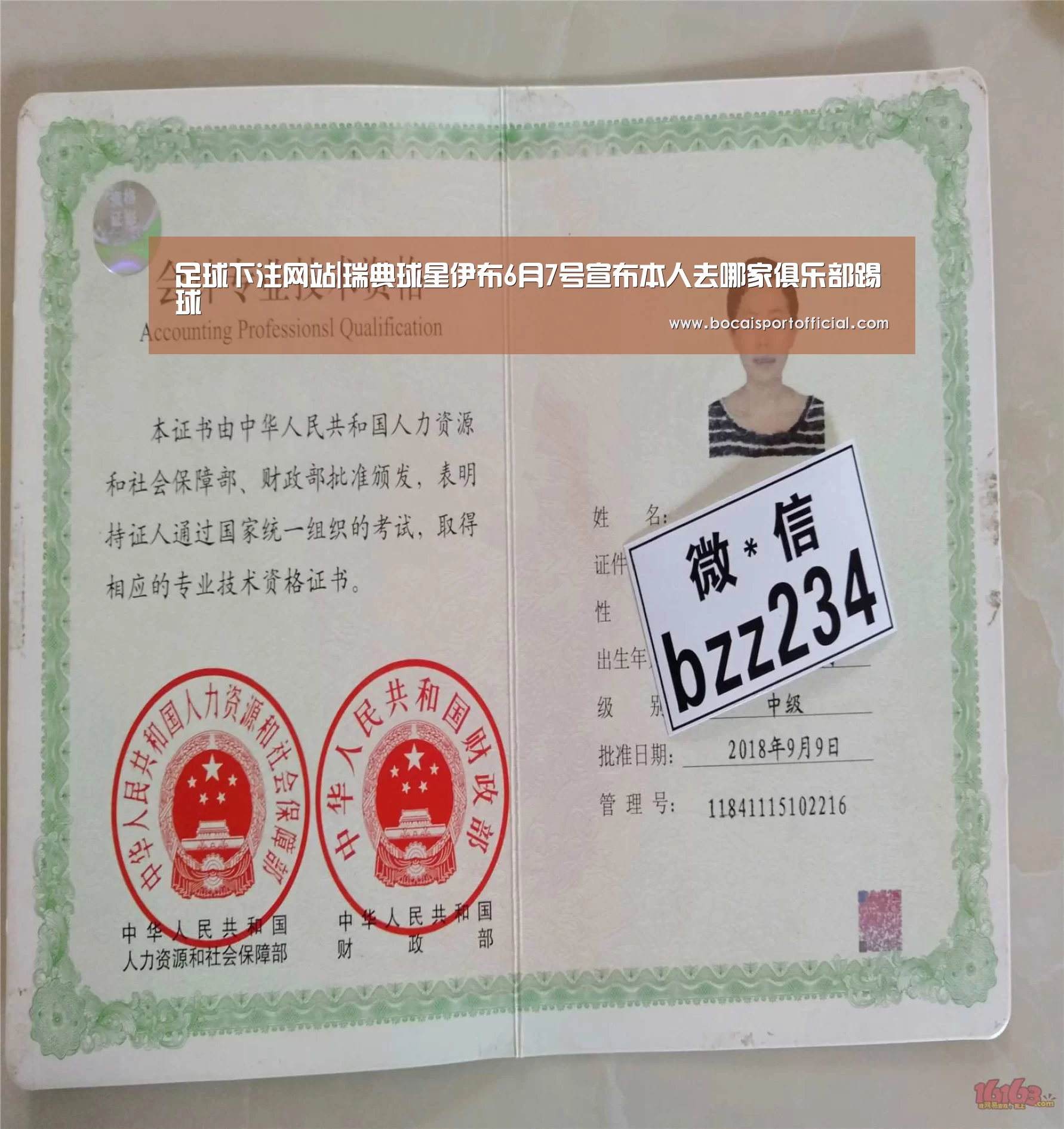 足球下注网站